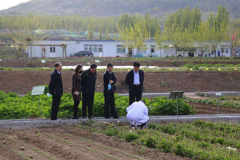 4月13日下午,省政协农业和农村委副主任董景林,省政协调研处处长郭爱